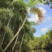 lake_mandicocha_la_v_0215_ecu0918.jpg